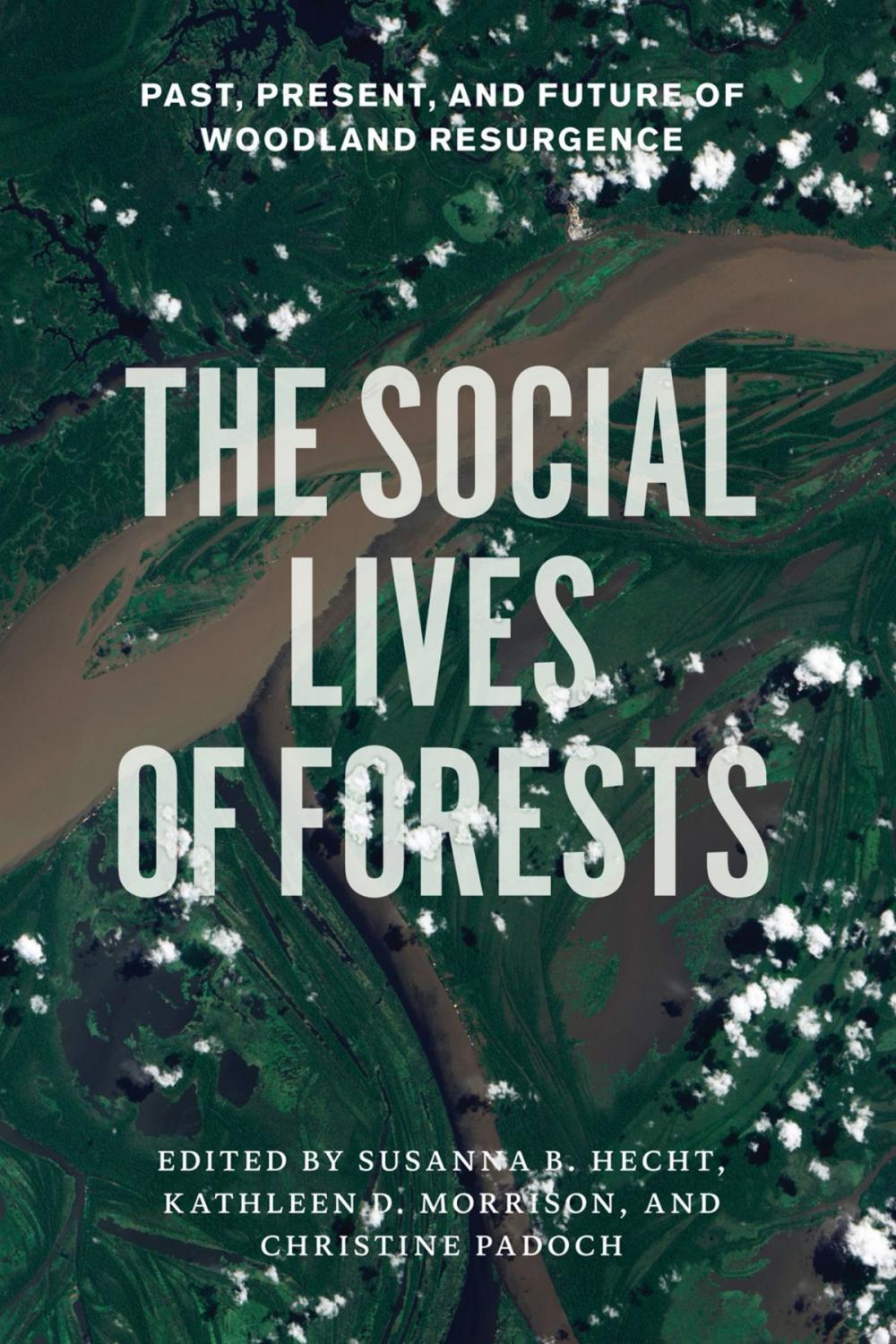 Big bigCover of The Social Lives of Forests