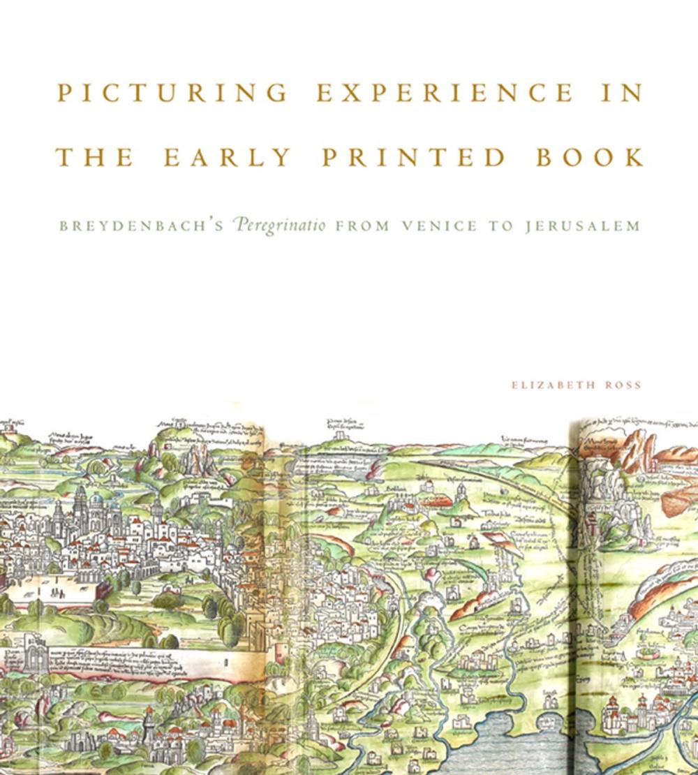 Big bigCover of Picturing Experience in the Early Printed Book