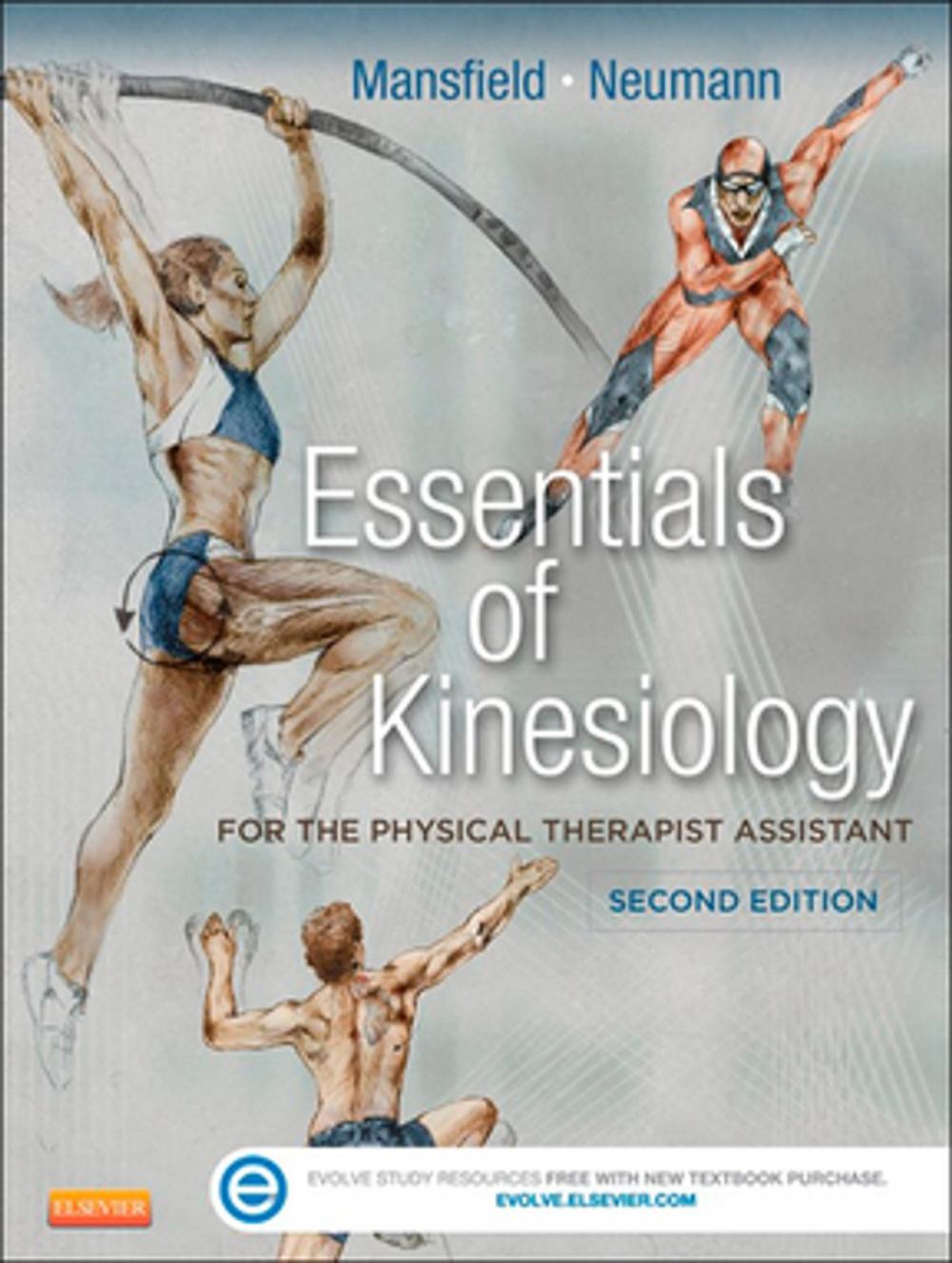 Big bigCover of Essentials of Kinesiology for the Physical Therapist Assistant - E-Book