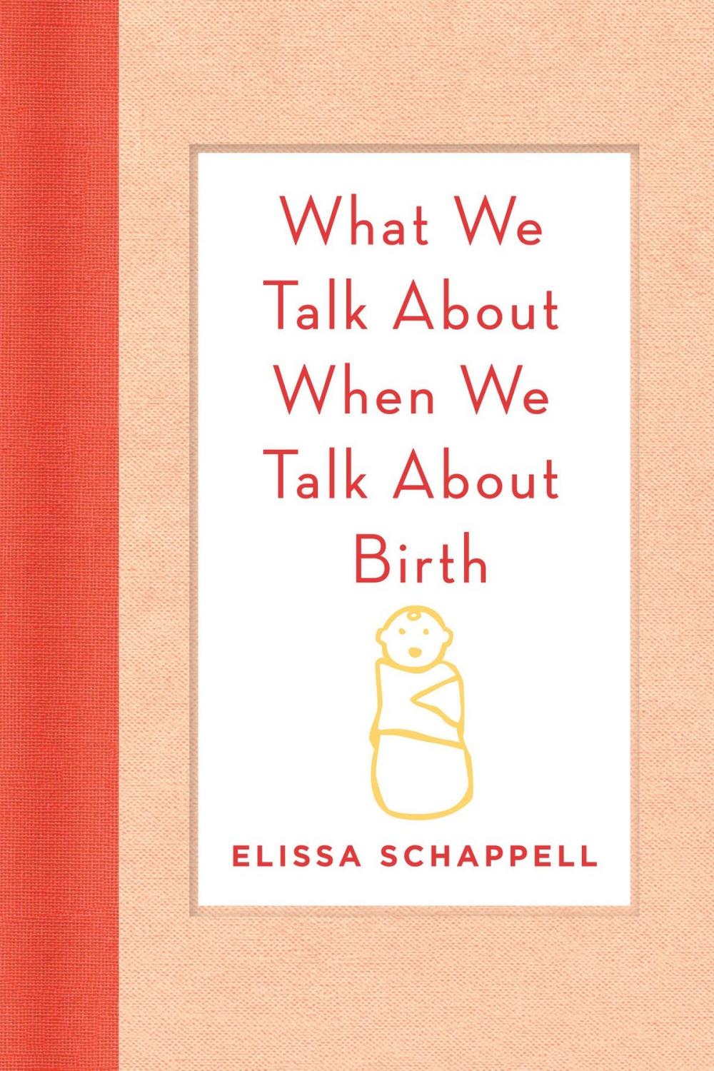 Big bigCover of What We Talk About When We Talk About Birth