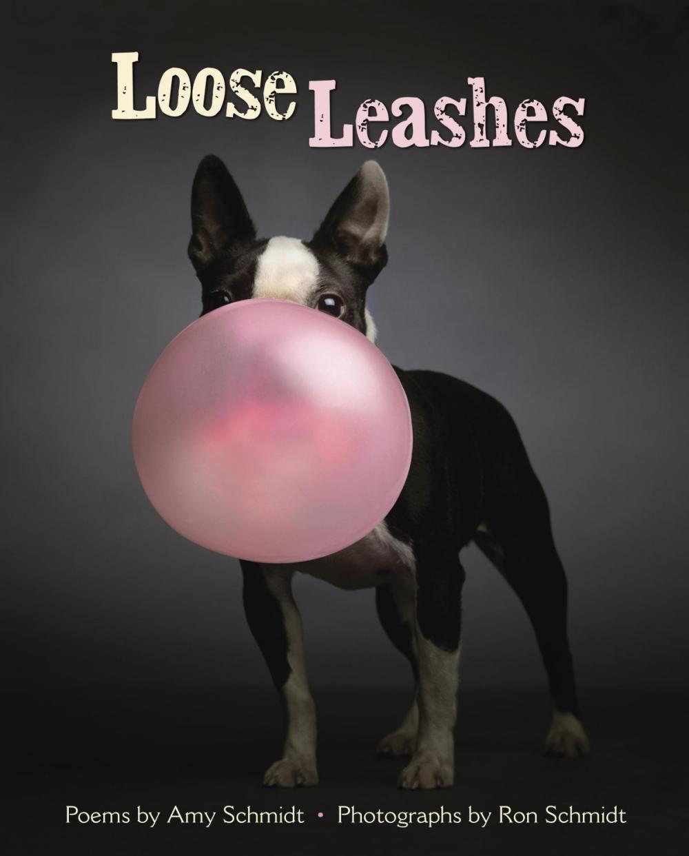 Big bigCover of Loose Leashes