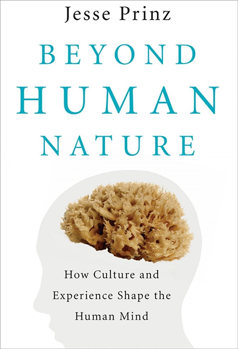 Big bigCover of Beyond Human Nature: How Culture and Experience Shape the Human Mind