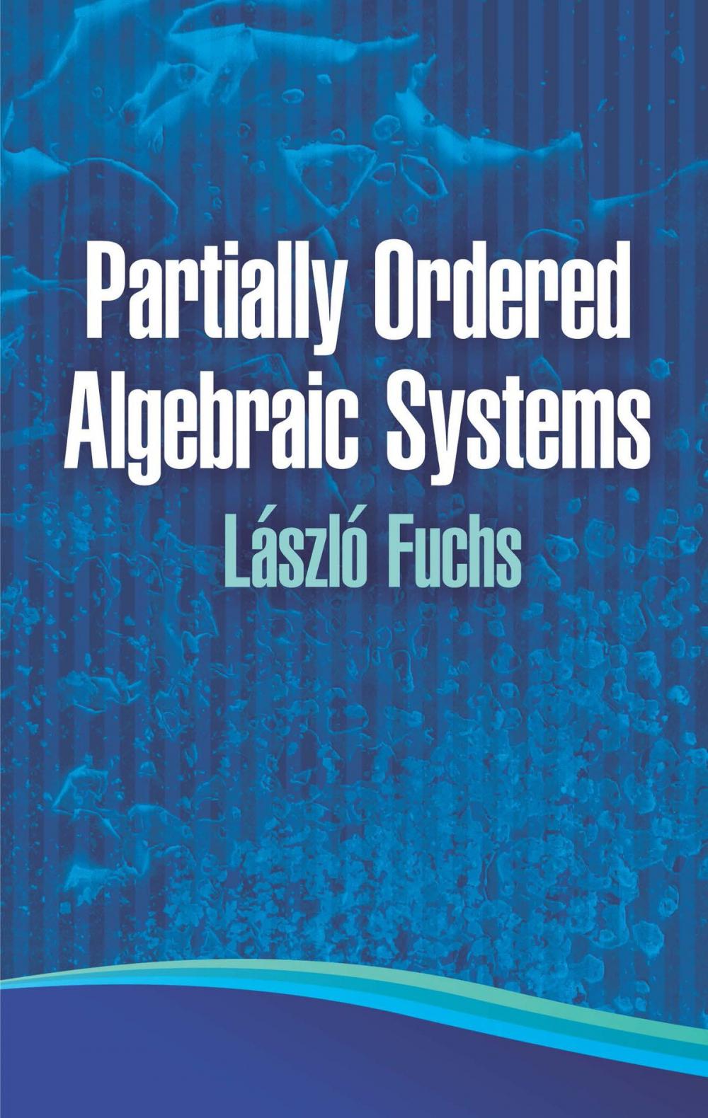 Big bigCover of Partially Ordered Algebraic Systems