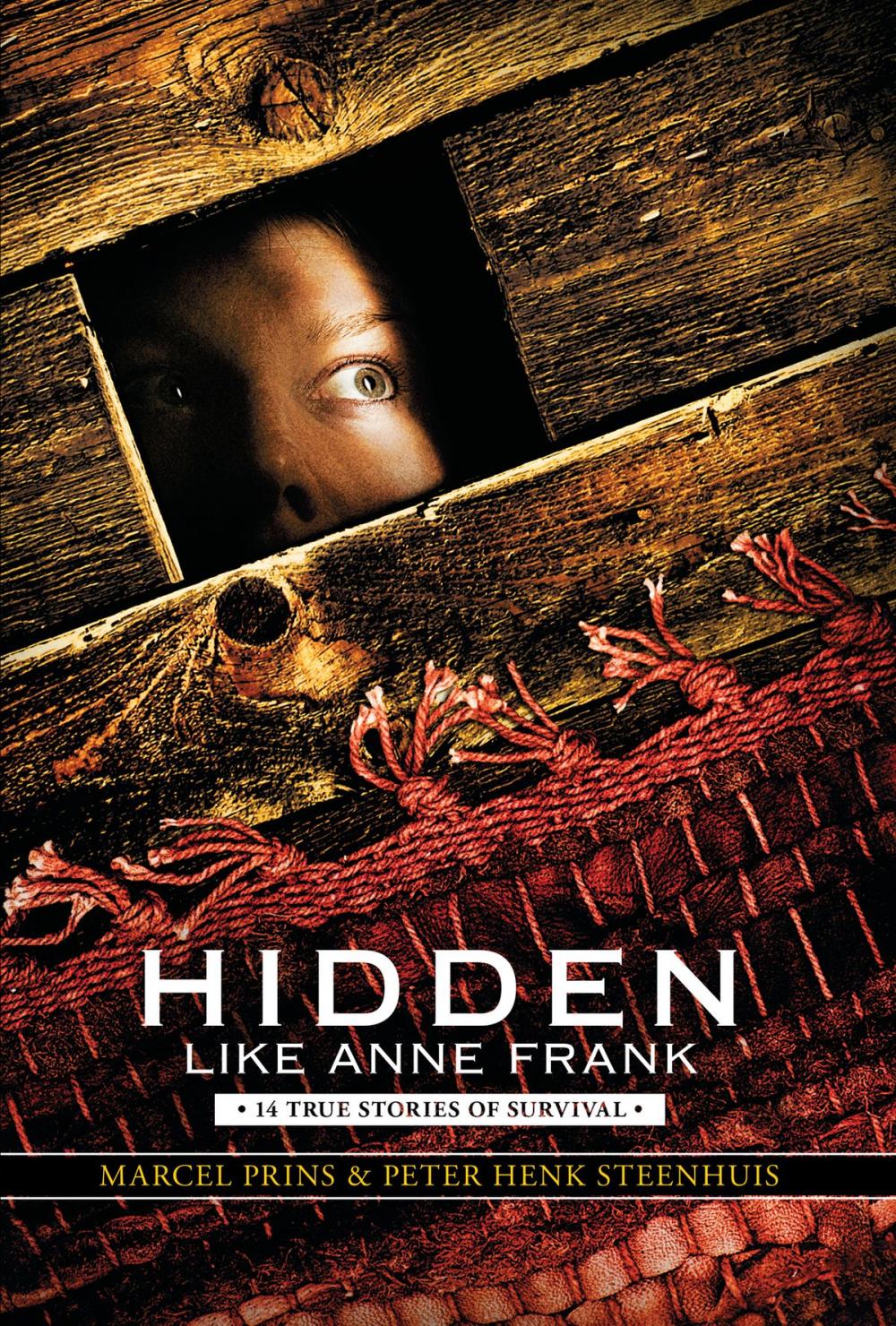 Big bigCover of Hidden Like Anne Frank: 14 True Stories of Survival