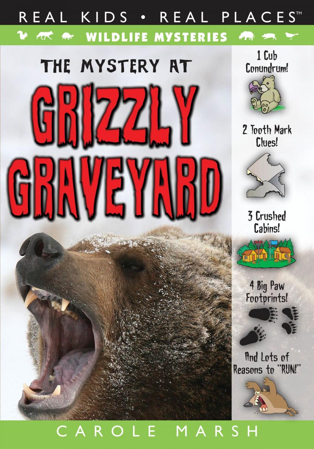 Big bigCover of The Mystery at Grizzly Graveyard