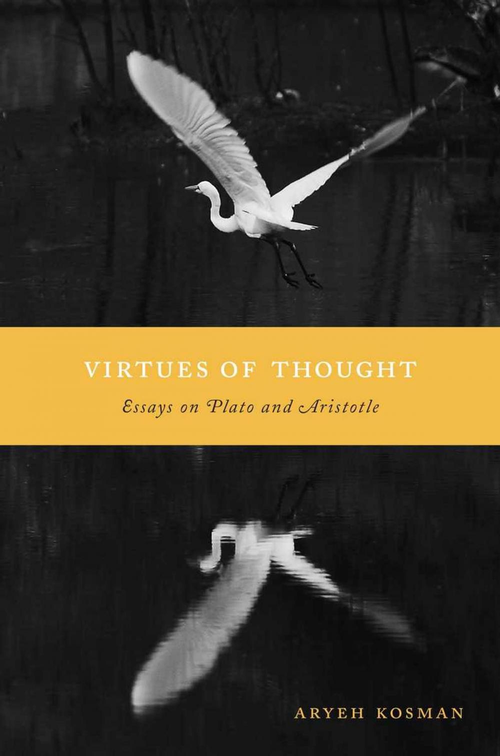 Big bigCover of Virtues of Thought