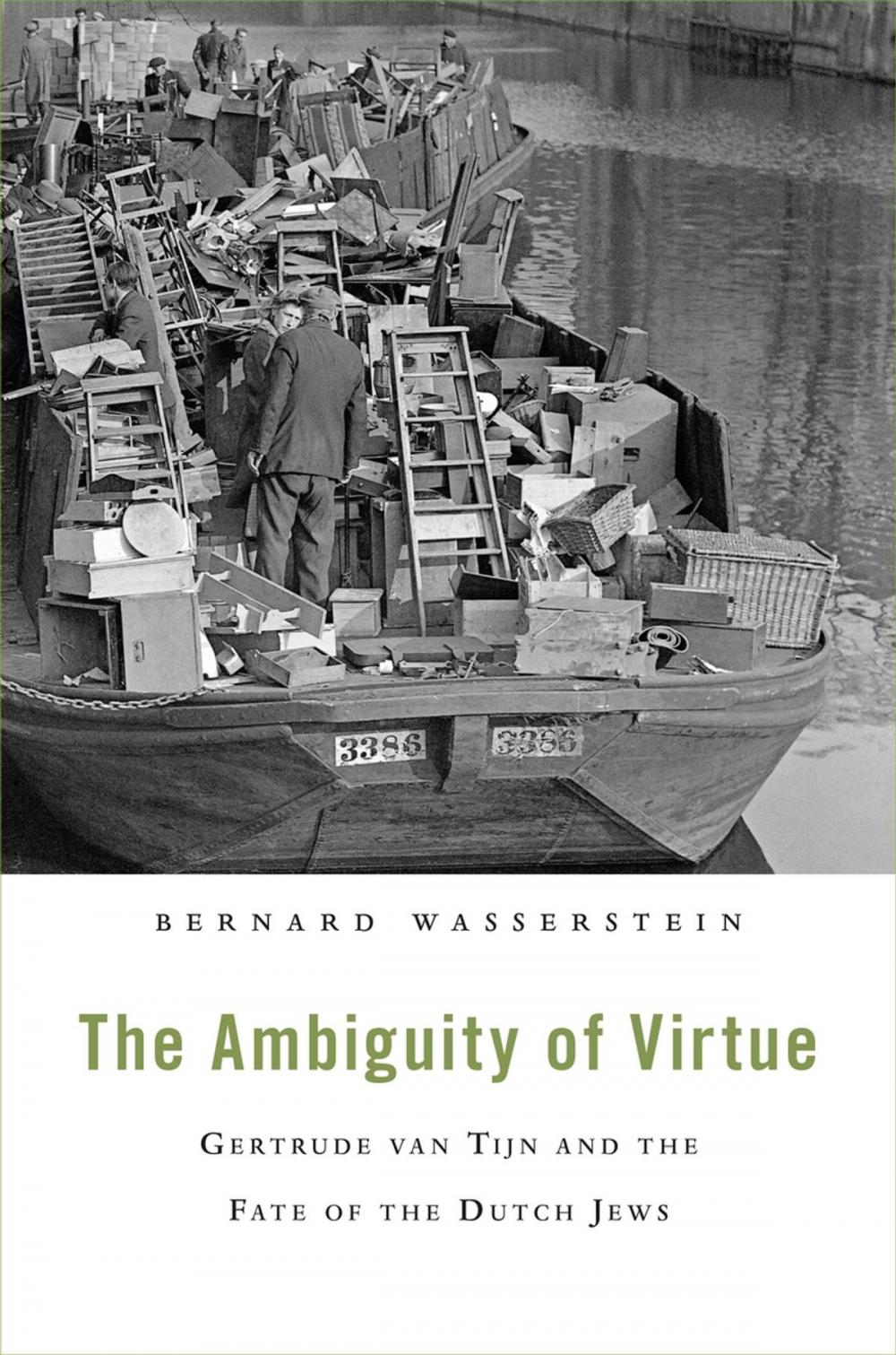 Big bigCover of The Ambiguity of Virtue