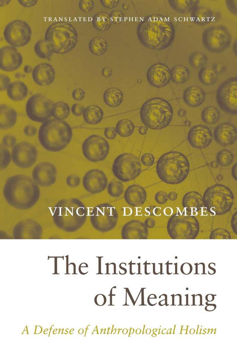 Big bigCover of The Institutions of Meaning