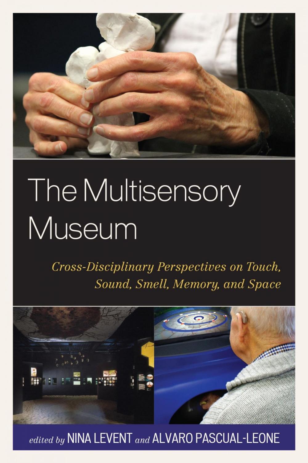 Big bigCover of The Multisensory Museum