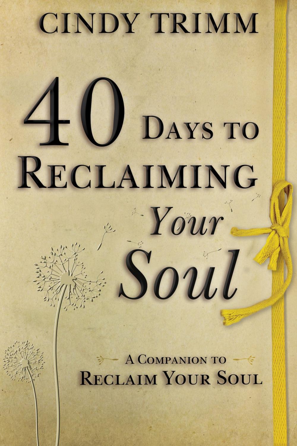 Big bigCover of 40 Days to Reclaiming Your Soul