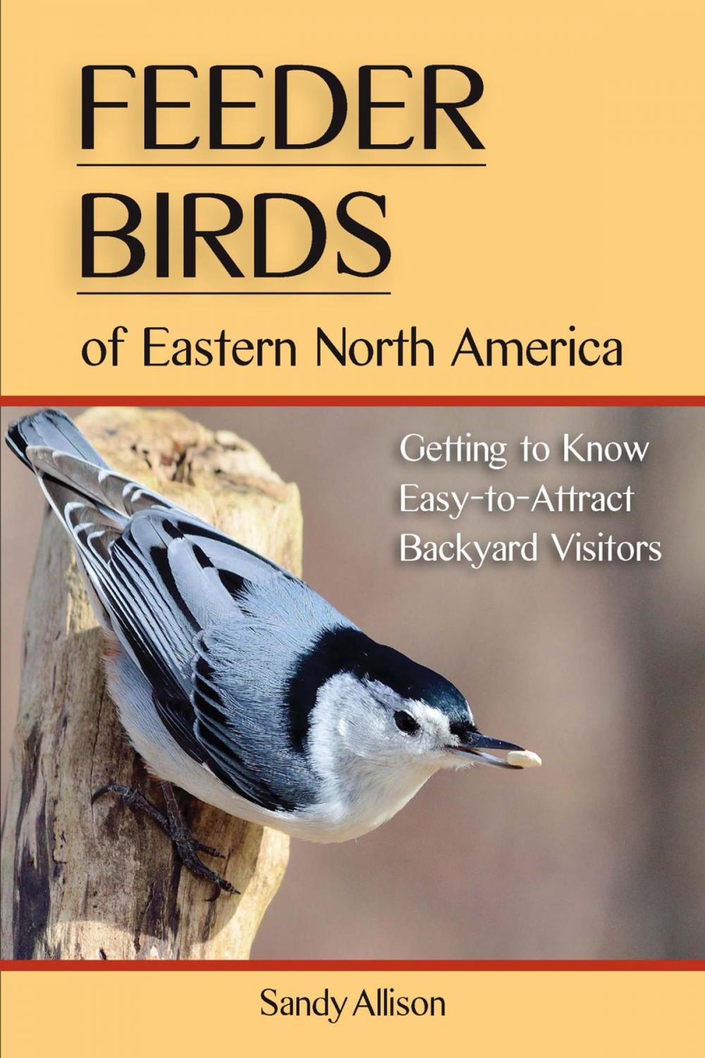 Big bigCover of Feeder Birds of Eastern North America