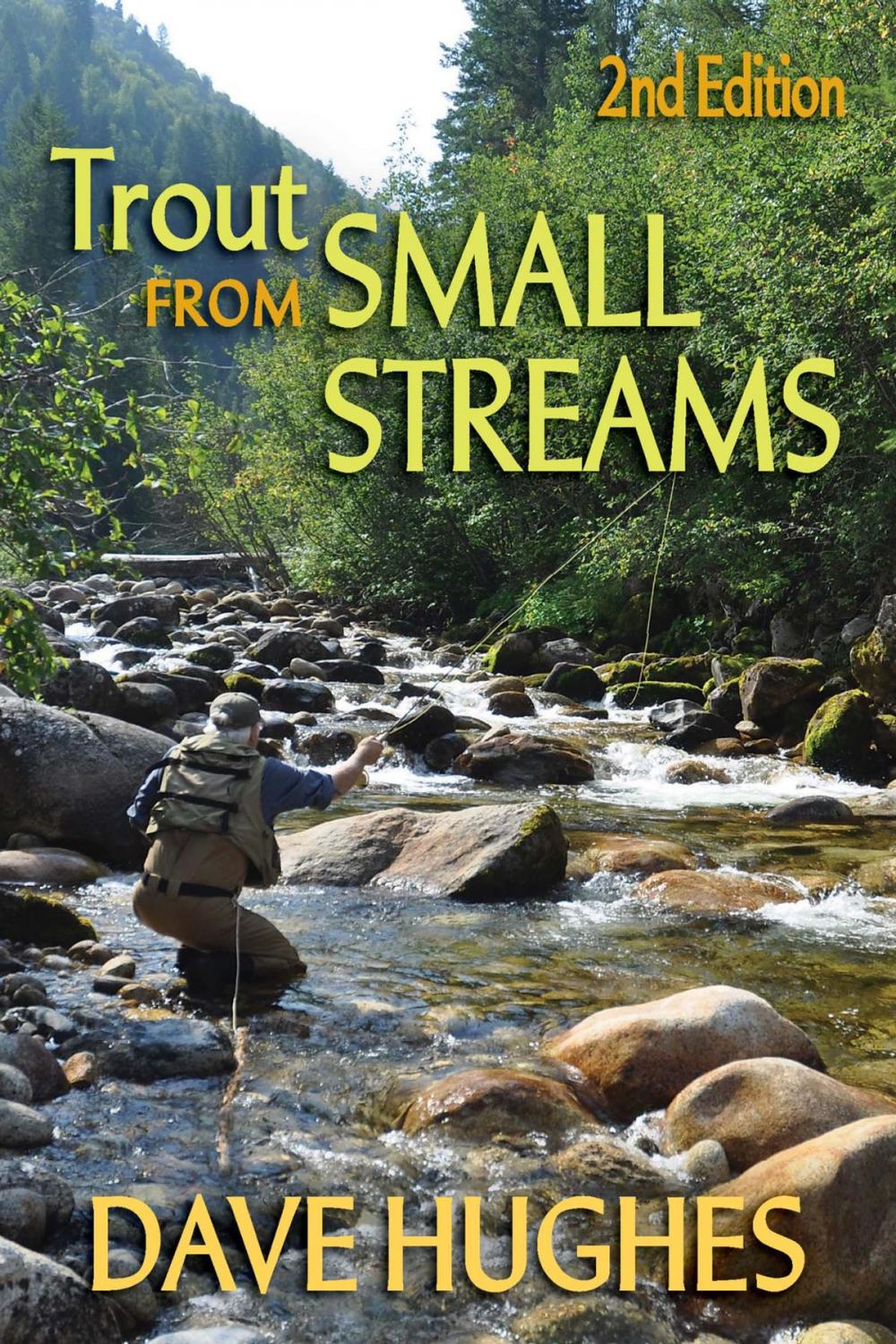 Big bigCover of Trout from Small Streams