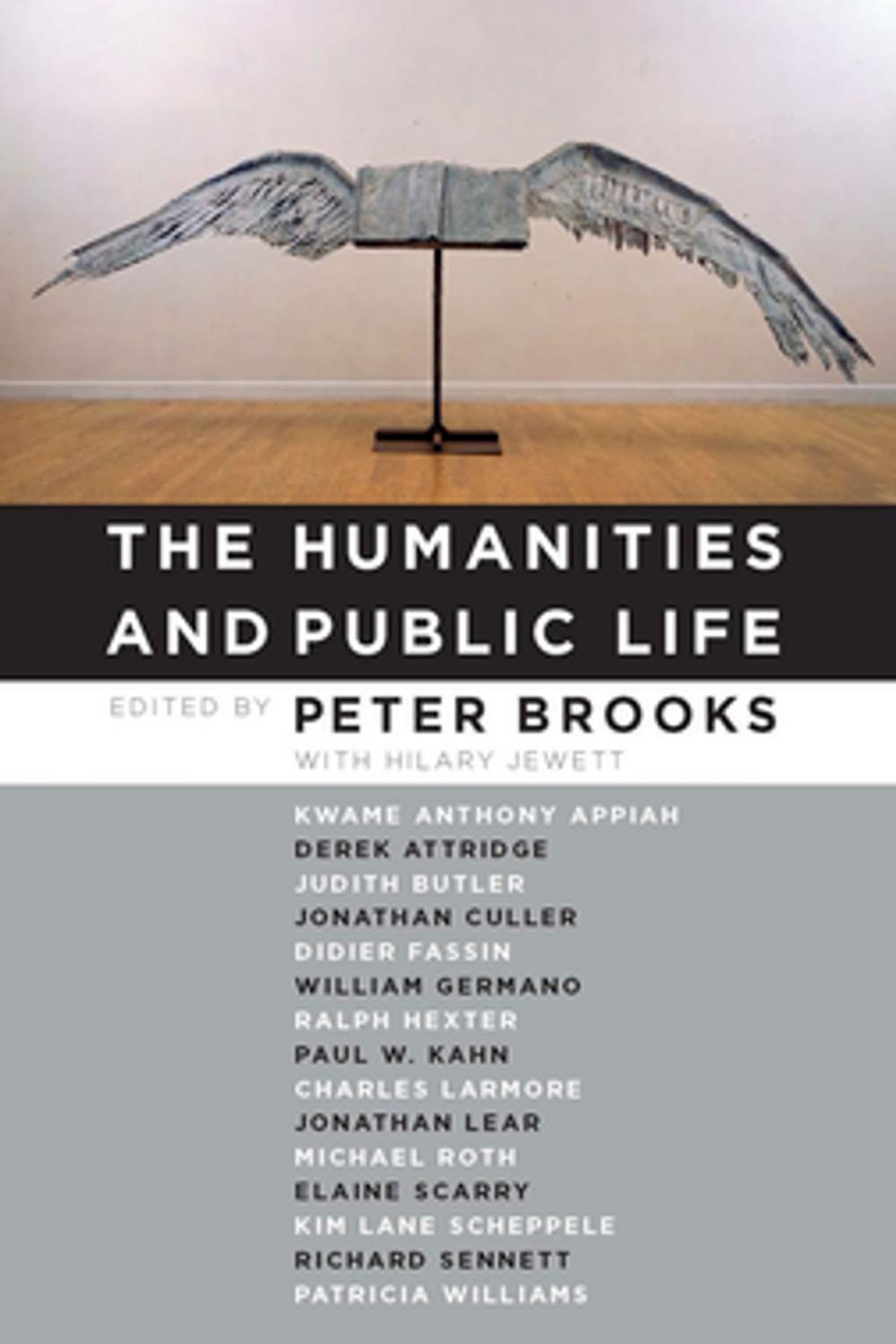 Big bigCover of The Humanities and Public Life