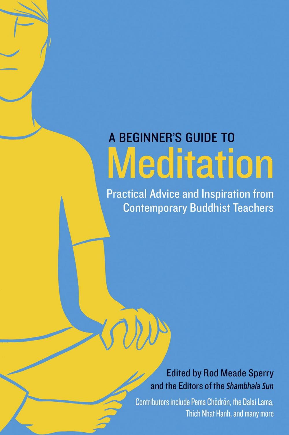 Big bigCover of A Beginner's Guide to Meditation