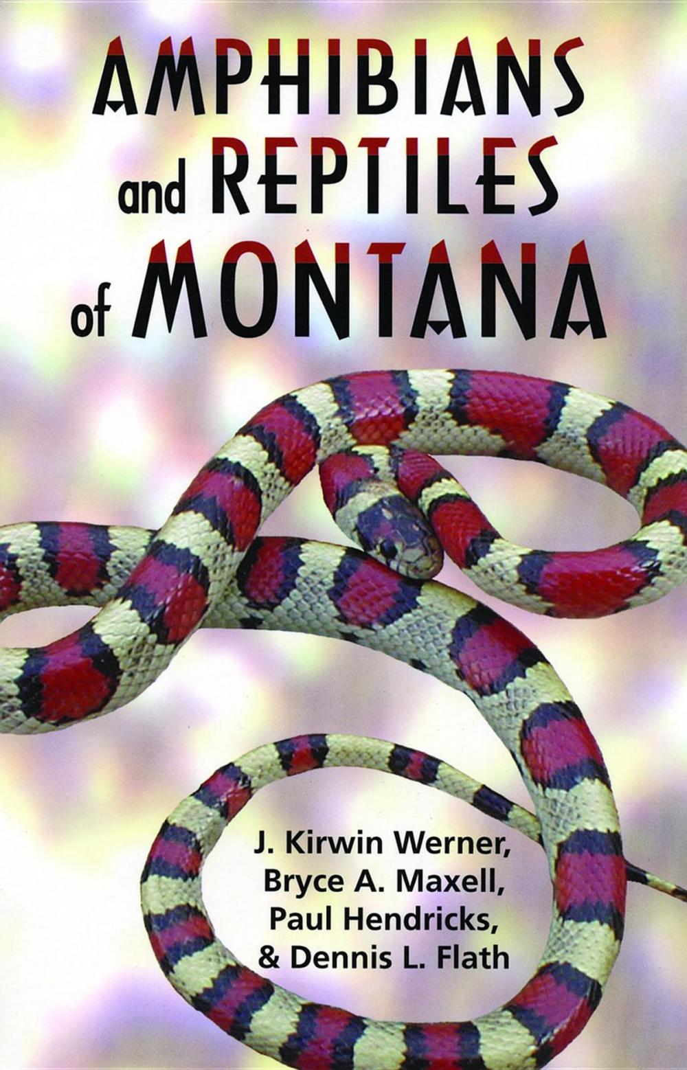 Big bigCover of Amphibians and Reptiles of Montana