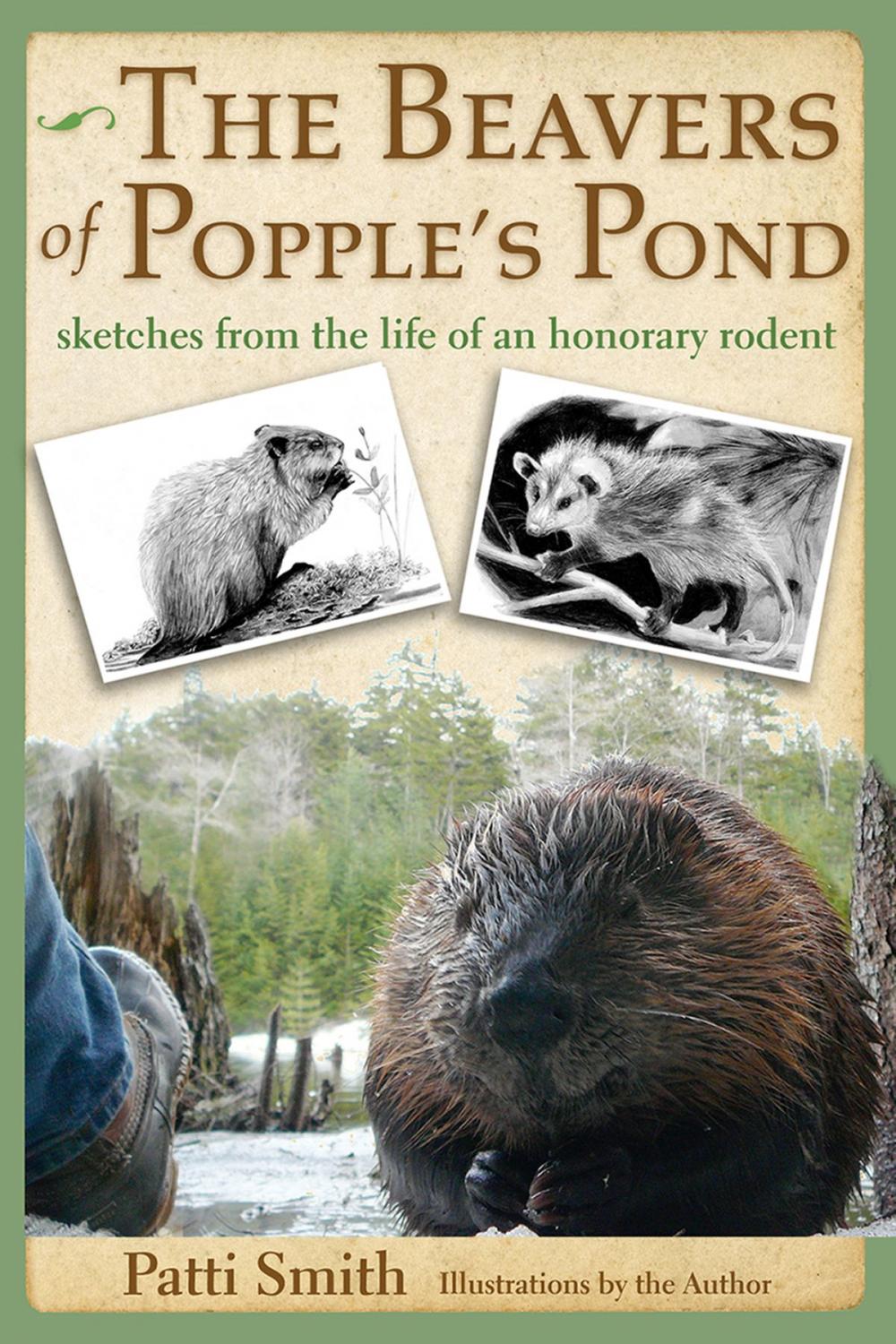 Big bigCover of The Beavers of Popple's Pond