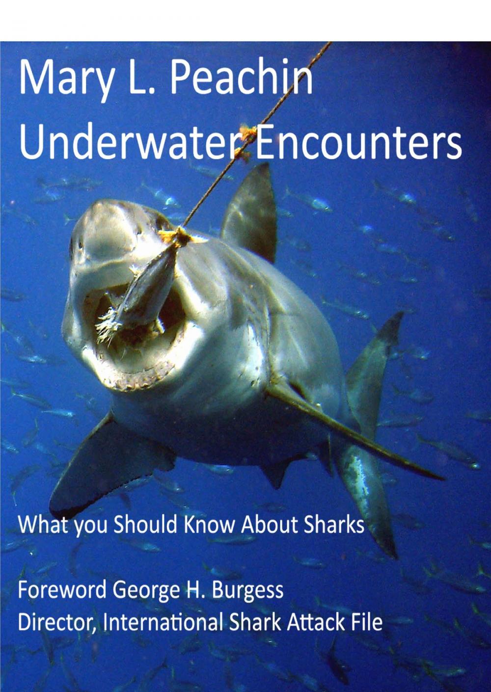 Big bigCover of Underwater Encounters