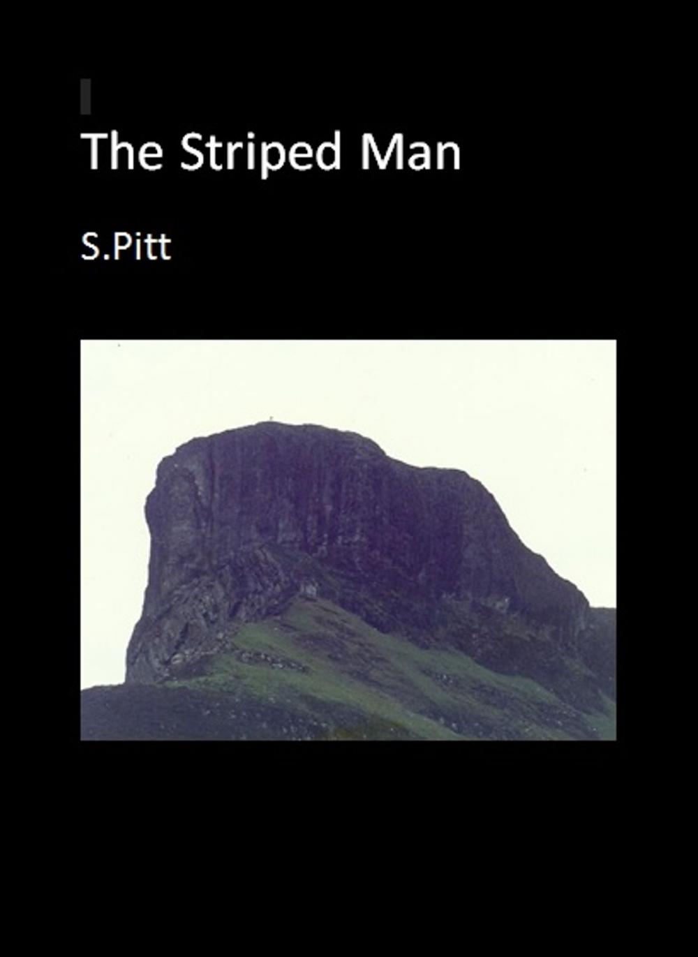 Big bigCover of The Striped Man