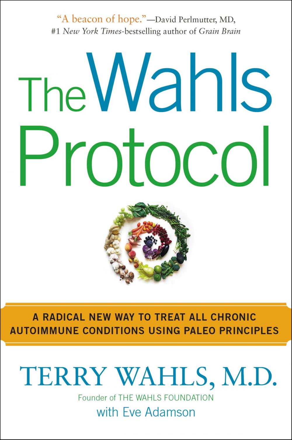 Big bigCover of The Wahls Protocol