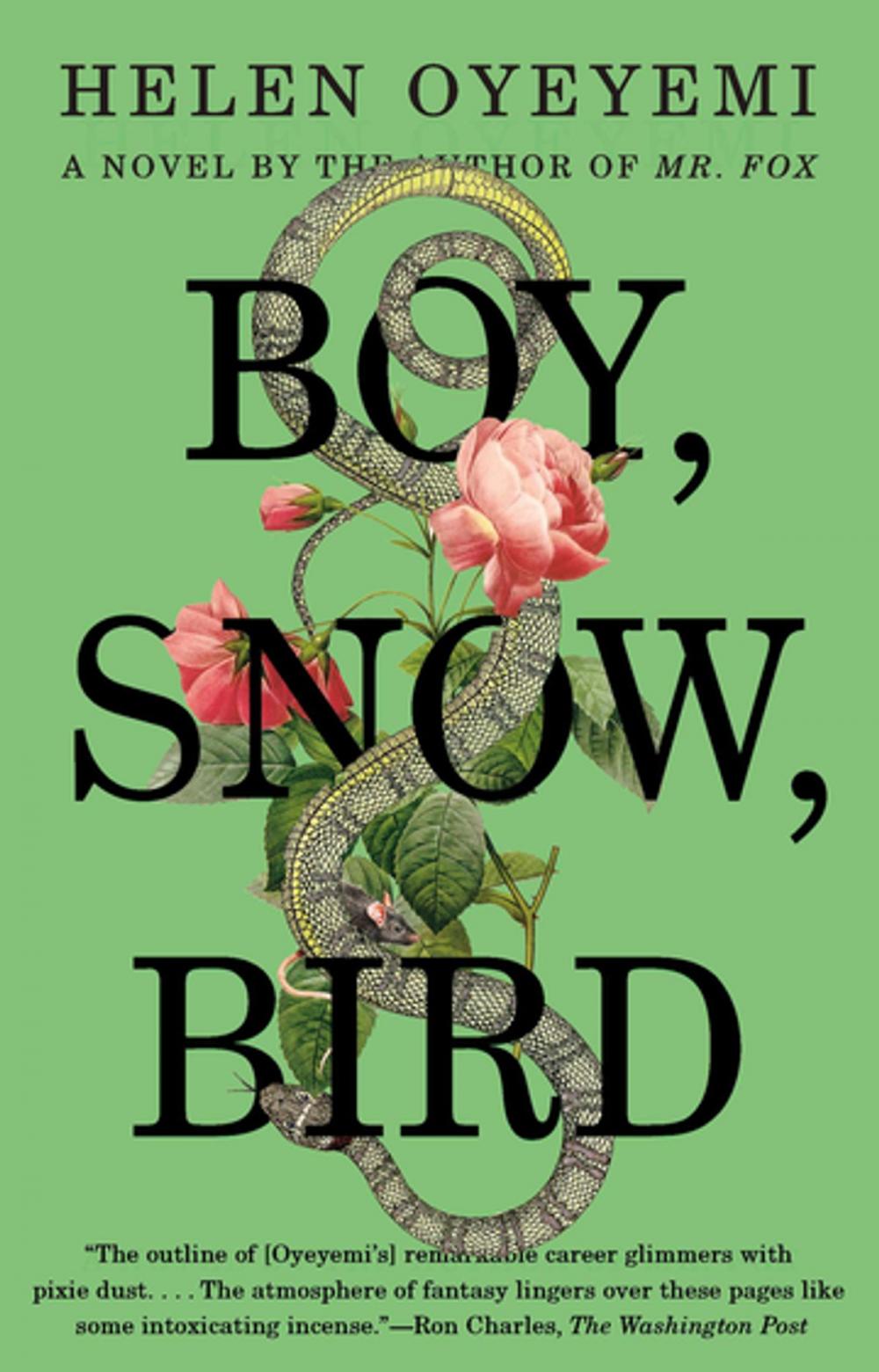 Big bigCover of Boy, Snow, Bird