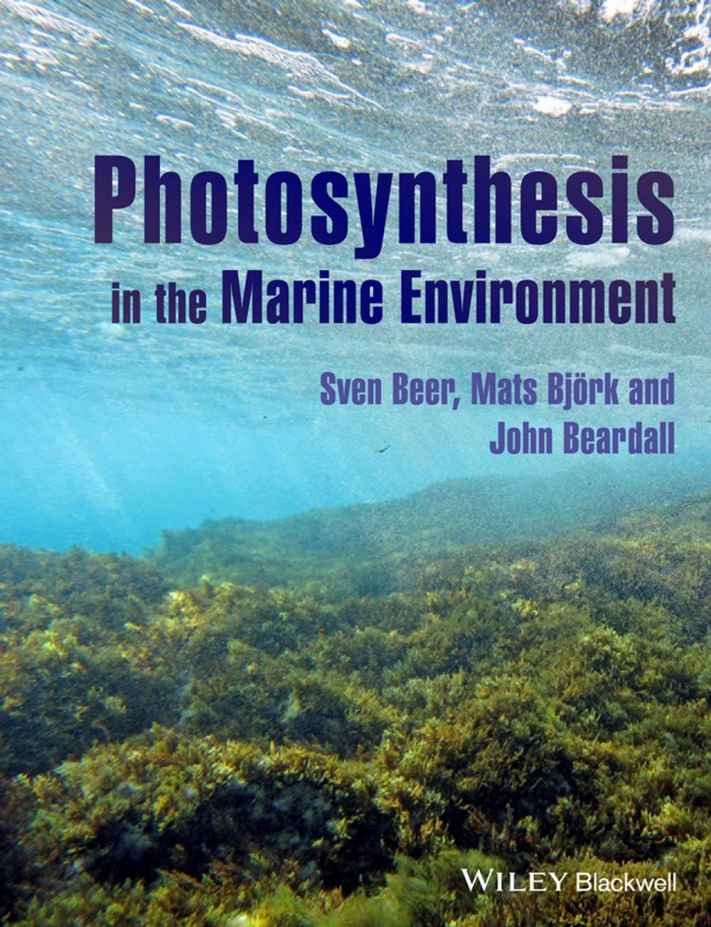 Big bigCover of Photosynthesis in the Marine Environment