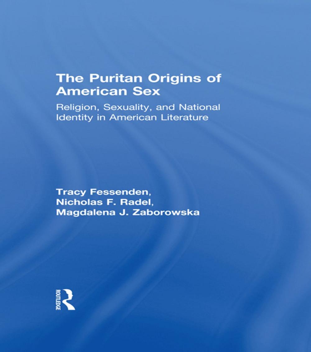 Big bigCover of The Puritan Origins of American Sex