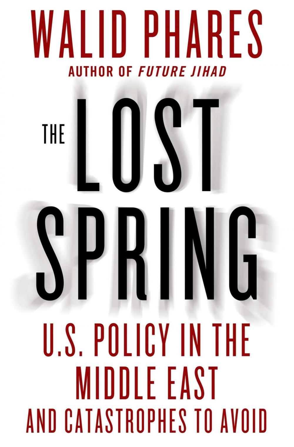 Big bigCover of The Lost Spring