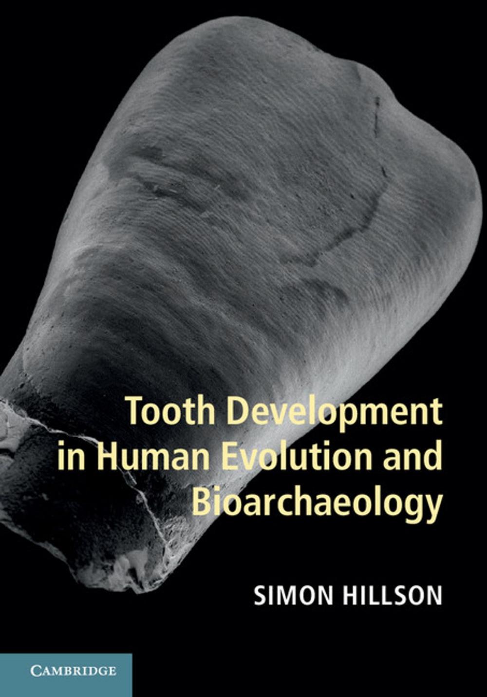 Big bigCover of Tooth Development in Human Evolution and Bioarchaeology