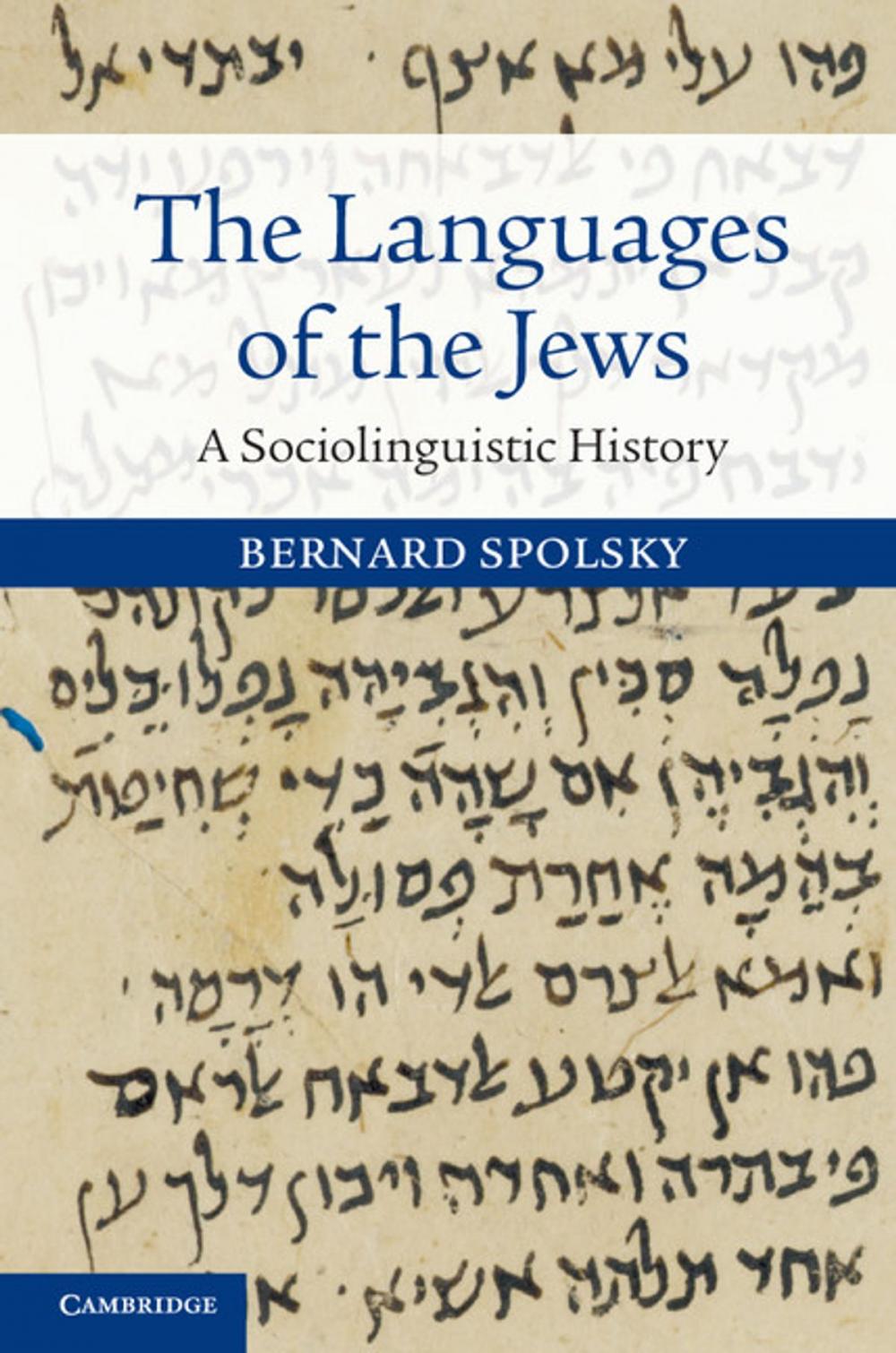 Big bigCover of The Languages of the Jews