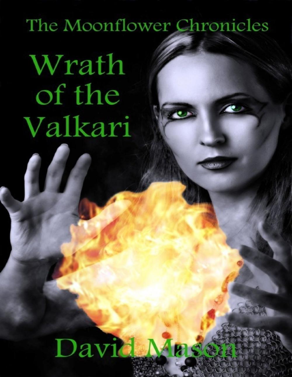 Big bigCover of Wrath of the Valkari