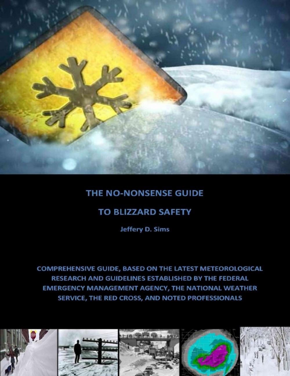 Big bigCover of The No Nonsense Guide to Blizzard Safety