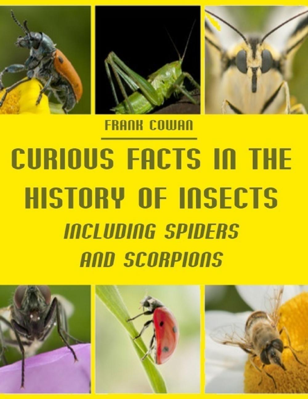 Big bigCover of Curious Facts in the History of Insects : Including Spiders and Scorpions (Illustrated)