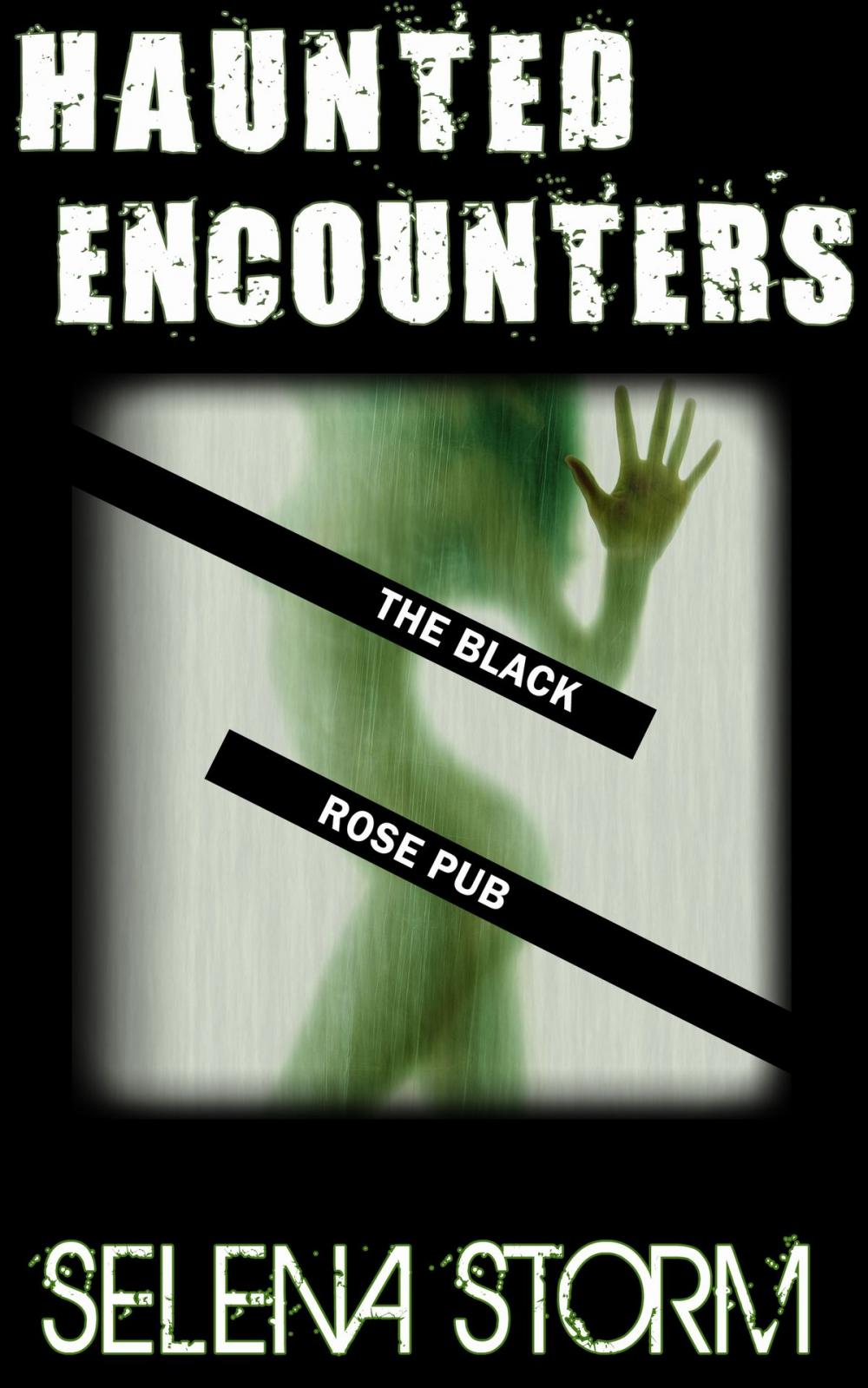 Big bigCover of Haunted Encounters: The Black Rose Pub