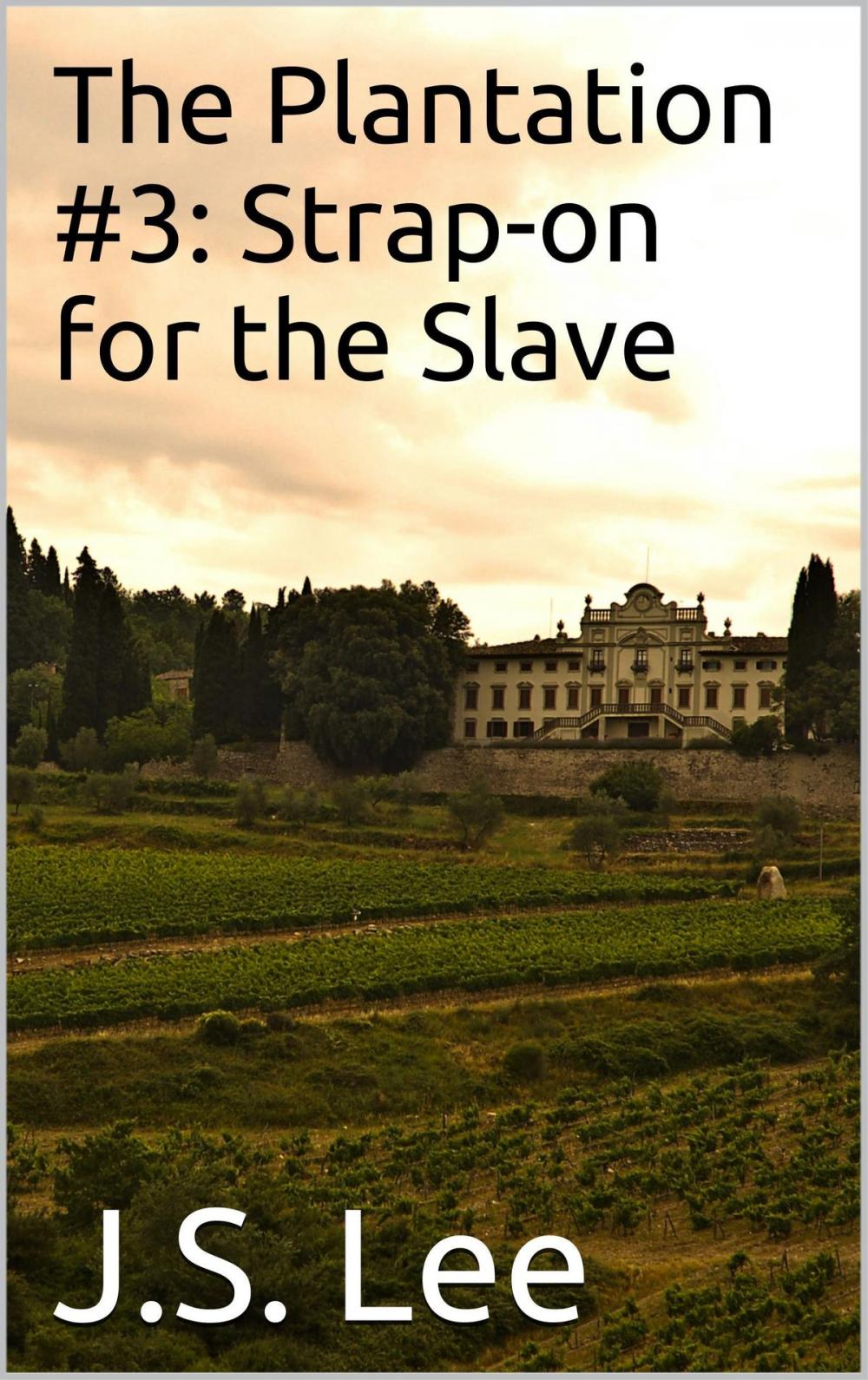 Big bigCover of The Plantation #3: Strap-on for the Slave