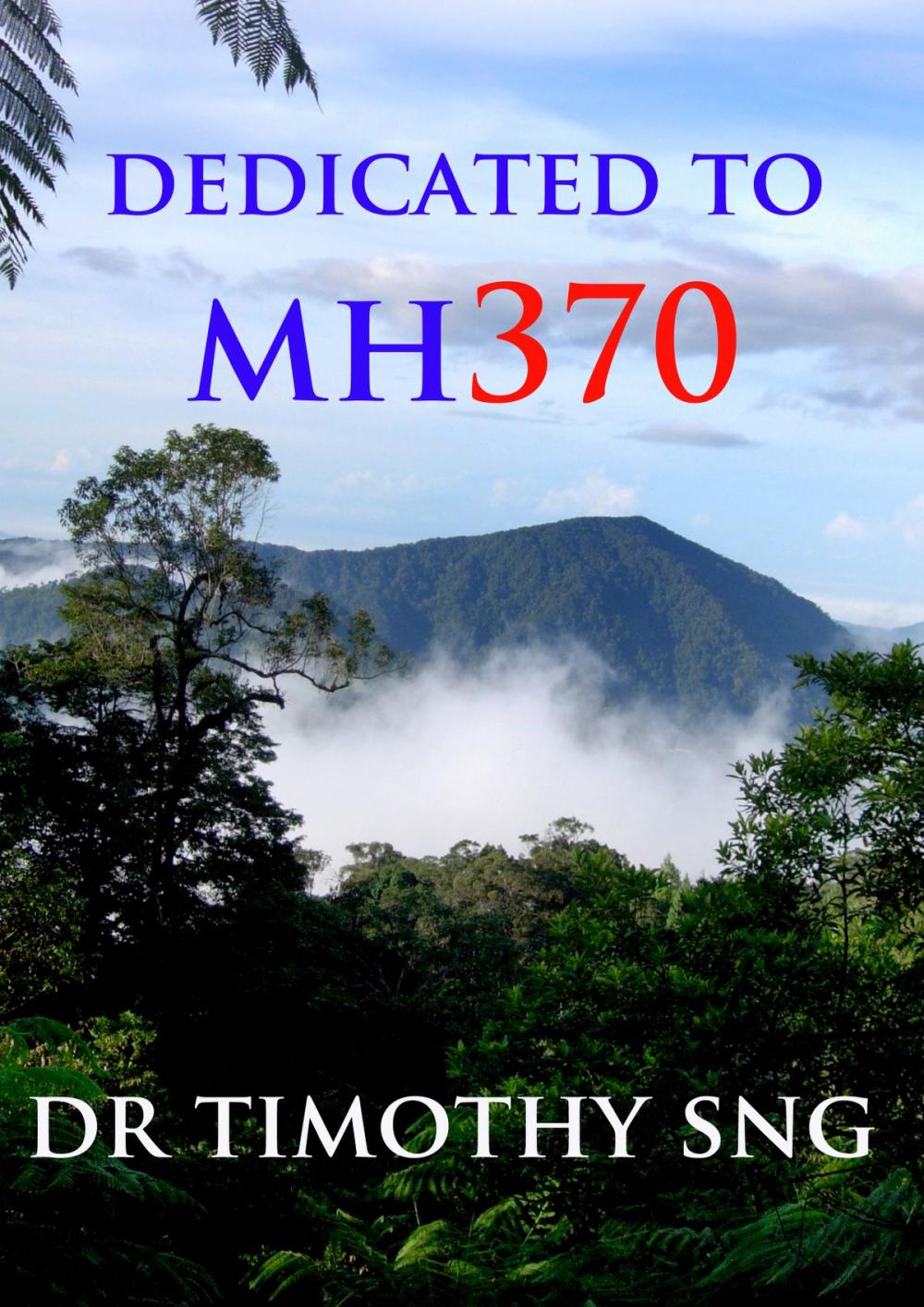 Big bigCover of Dedicated to MH370