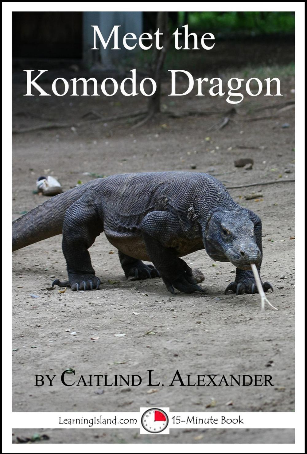 Big bigCover of Meet the Komodo Dragon: A 15-Minute Book for Early Readers