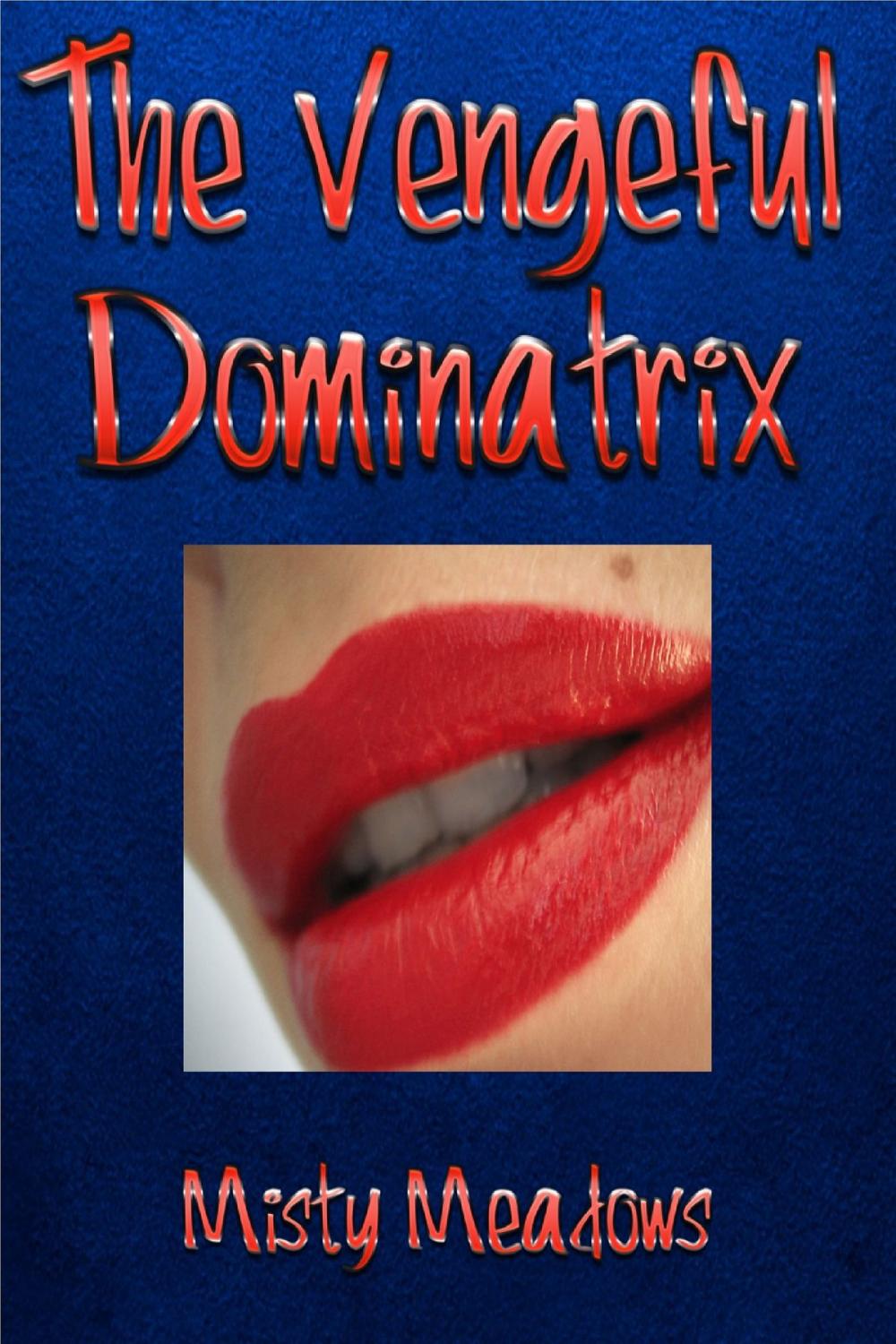 Big bigCover of The Vengeful Dominatrix (Femdom)