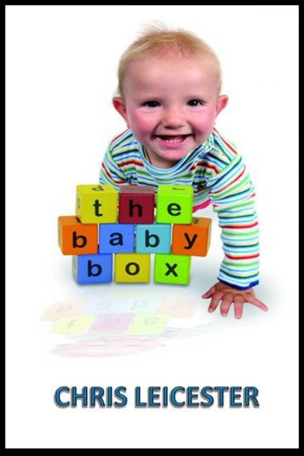 Big bigCover of The Baby Box