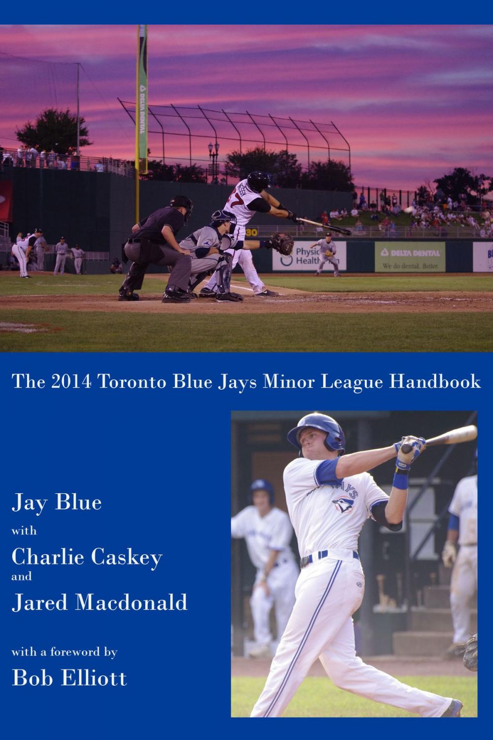 Big bigCover of The 2014 Toronto Blue Jays Minor League Handbook