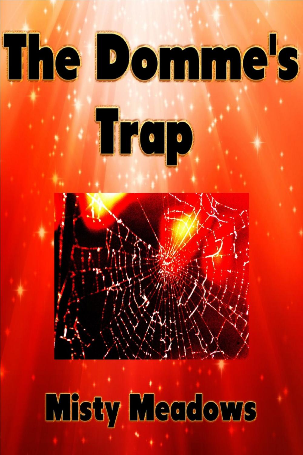 Big bigCover of The Domme's Trap (Femdom)