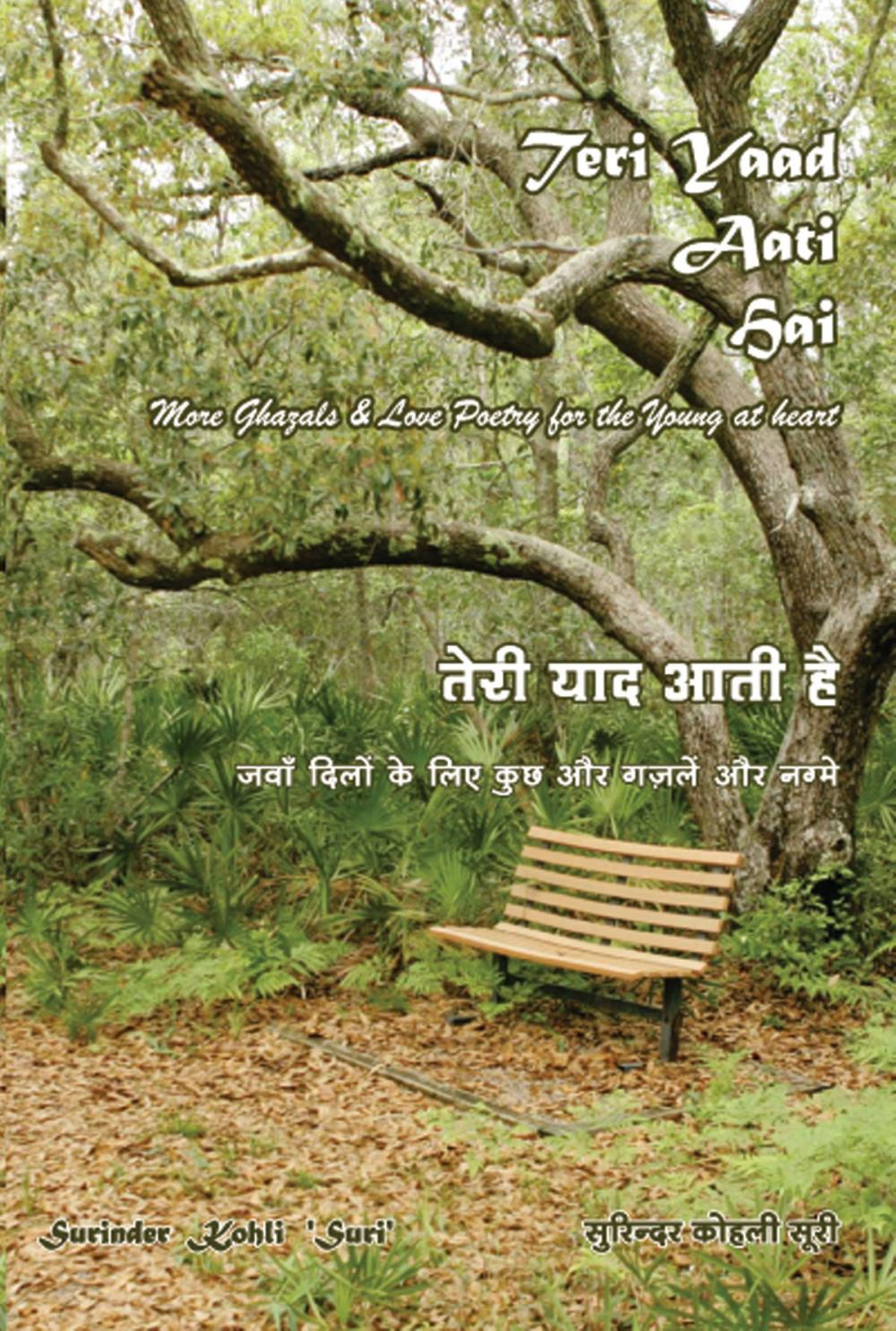 Big bigCover of Teri Yaad Aati Hai: more Ghazals & Love Poetry for the Young at Heart