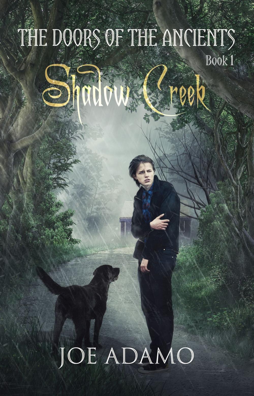 Big bigCover of Shadow Creek: The Doors of the Ancients, Book 1