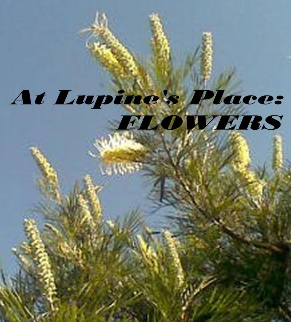 Big bigCover of At Lupine's Place: Flowers