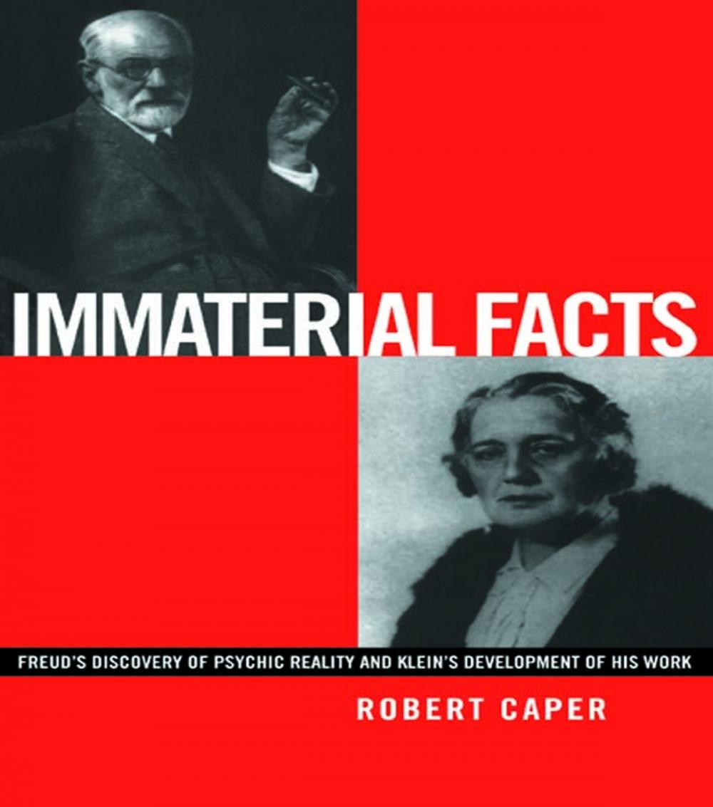 Big bigCover of Immaterial Facts