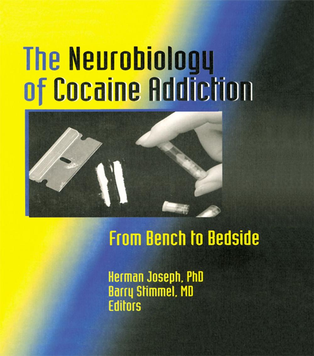 Big bigCover of The Neurobiology of Cocaine Addiction