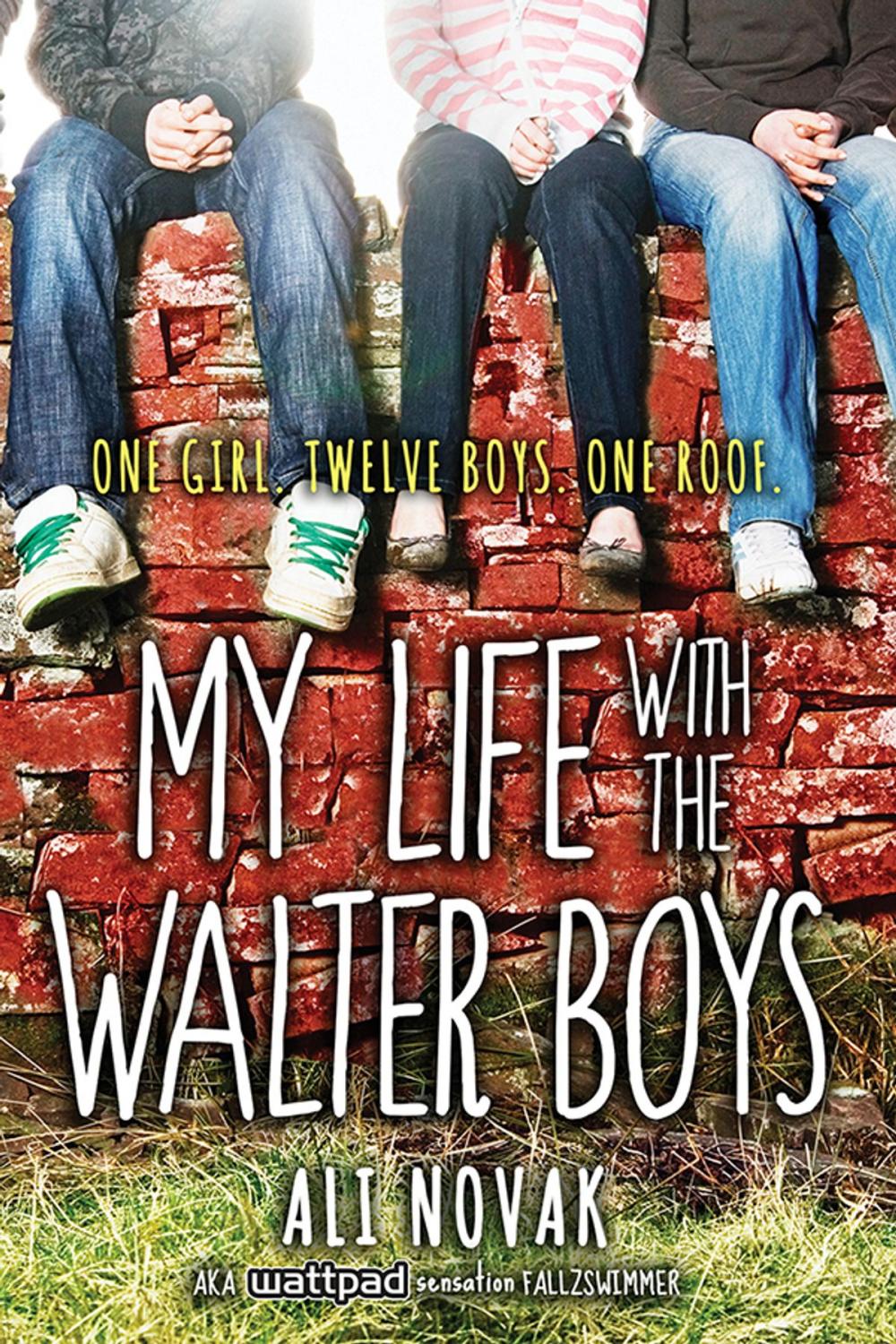 Big bigCover of My Life with the Walter Boys