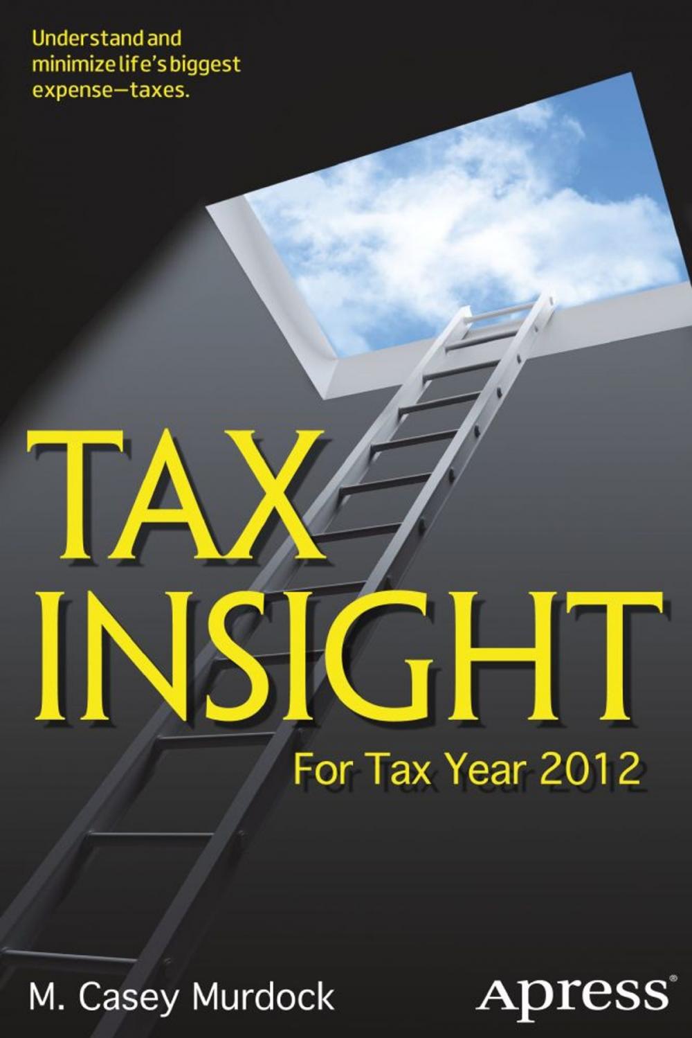 Big bigCover of Tax Insight