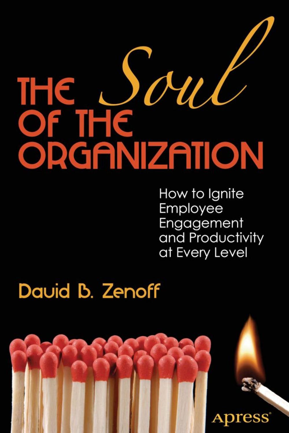 Big bigCover of The Soul of the Organization