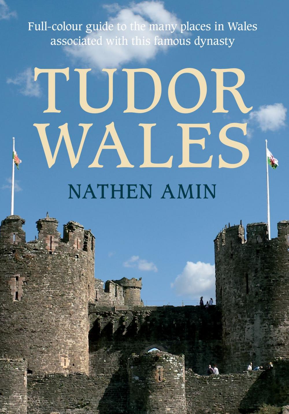 Big bigCover of Tudor Wales