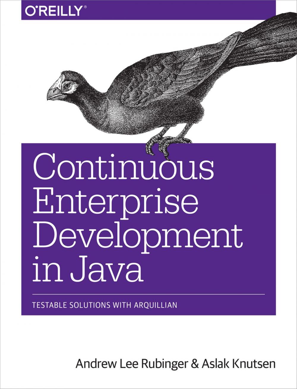 Big bigCover of Continuous Enterprise Development in Java